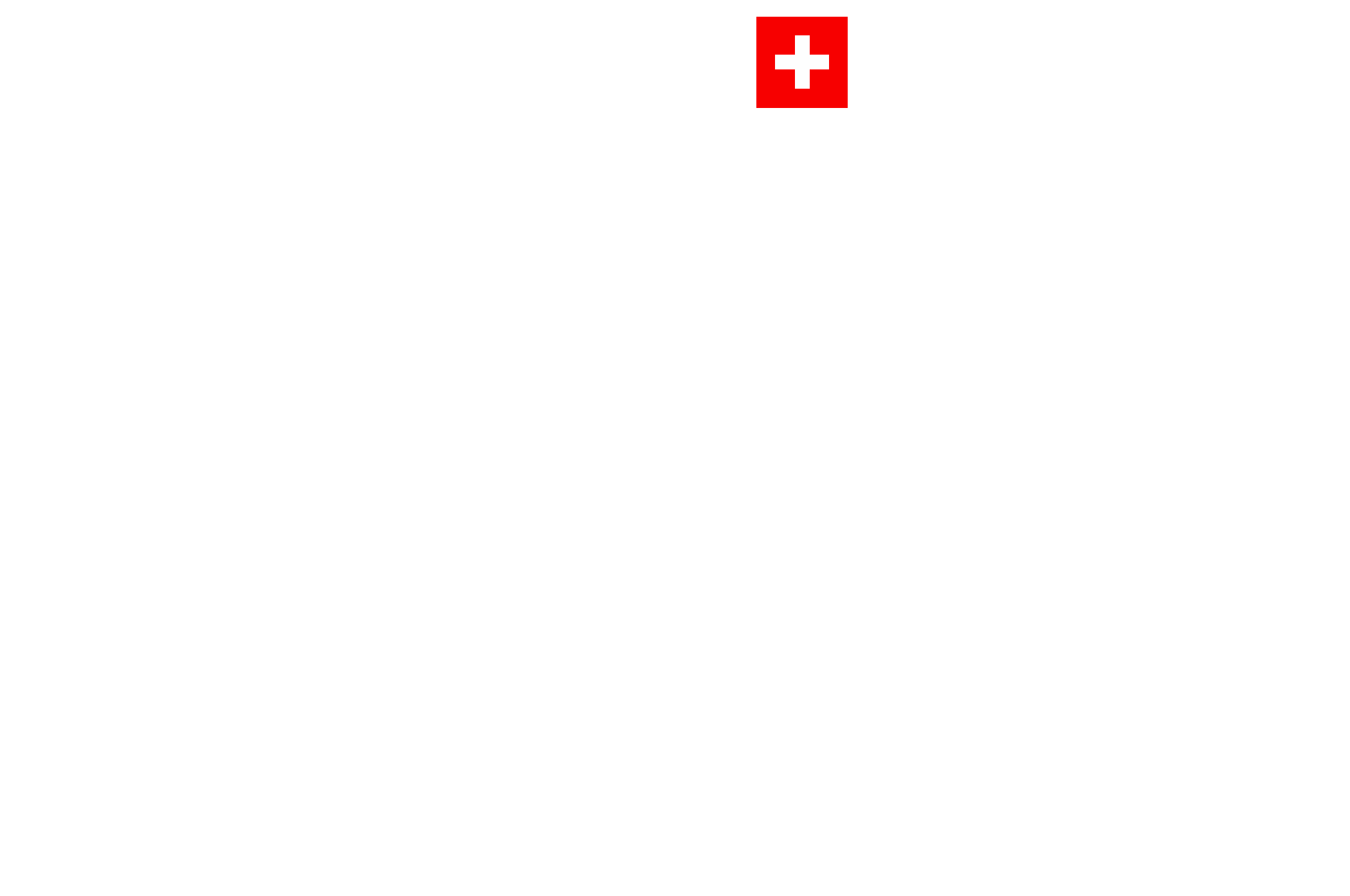 FunFlight Logo with Icons on top and red Swiss cross