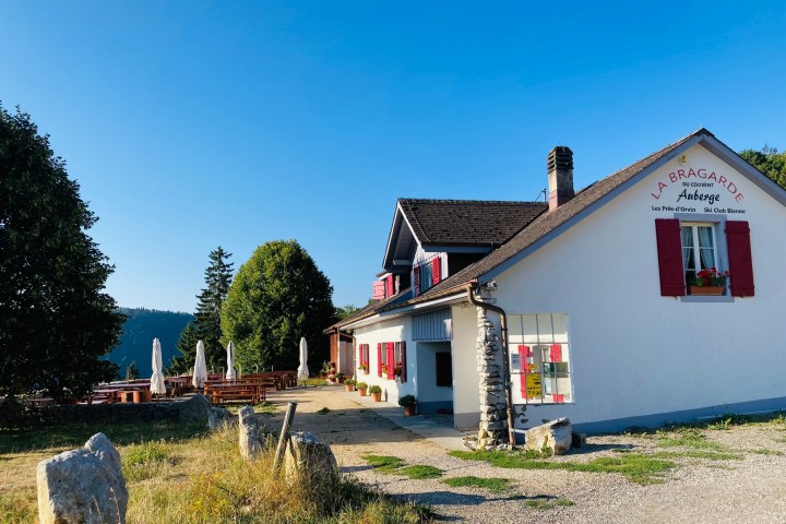 a house with trees in the background